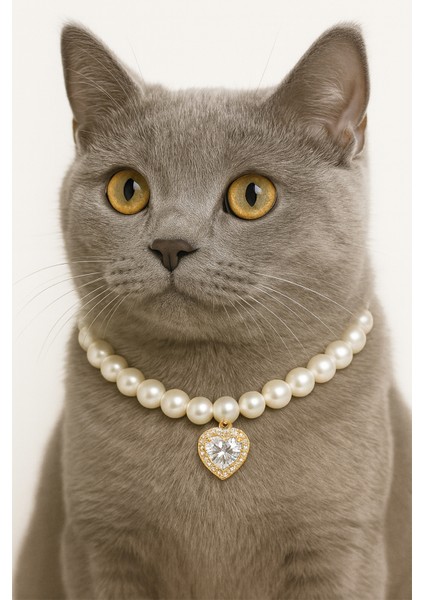 Kalpli Kedi Kolyesi, Kedi Boyunluğu, Kedi Hediyesi ,köpek Künyesi, Kedi Künyesi ,kedi Oyuncağı ,xtaki modelleri