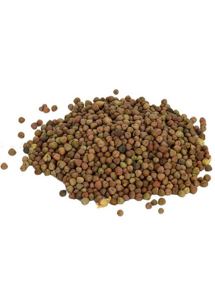Doğal Burçak Tohumu 100 gr Paket