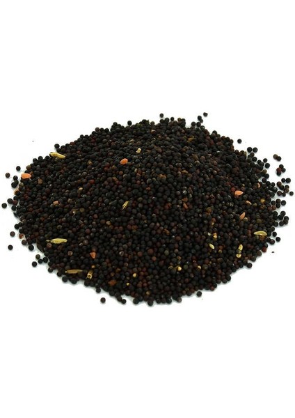 Hardal Tohumu Tane Doğal Siyah 100 gr Paket