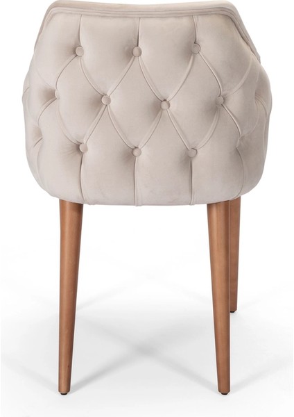 Modern Ahşap Modern Sandalye fırsatları