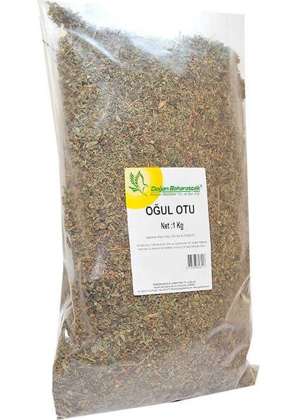 Doğal Oğul Otu 1000 gr Paket modelleri