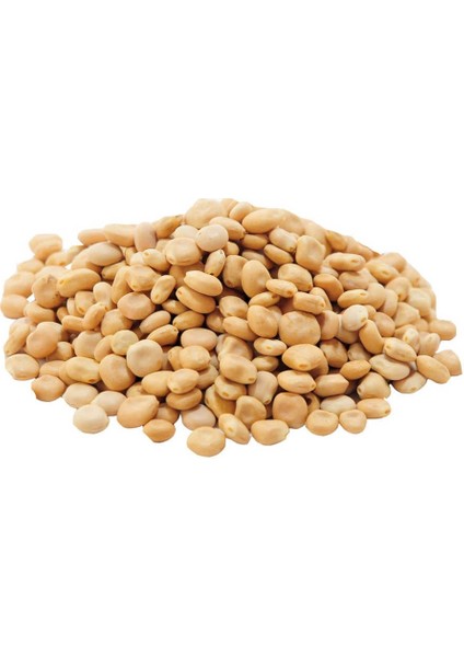 Acı Bakla Tohumu Yahudi Baklası Doğal 50 gr Paket