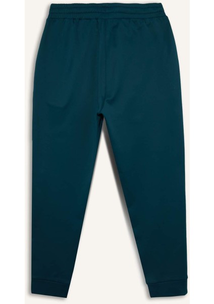 Fit Standart Fit Sporcu Jogger Eşofman Altı F2380AX25WN modelleri