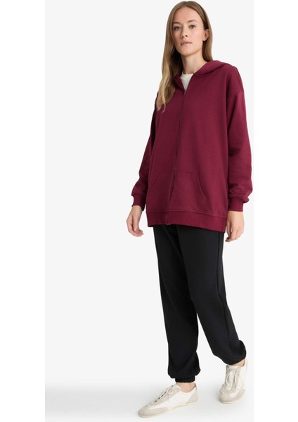 Regular Fit Kapüşonlu İçi Yumuşak Tüylü Kalın Fermuarlı Sweatshirt D1606AX25WN fiyatları
