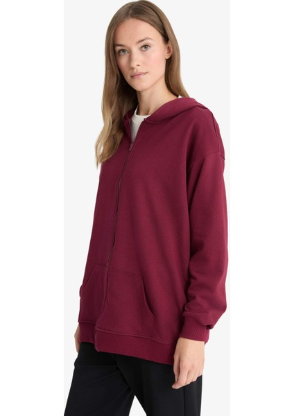 Regular Fit Kapüşonlu İçi Yumuşak Tüylü Kalın Fermuarlı Sweatshirt D1606AX25WN modelleri
