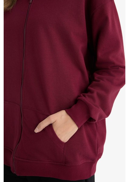 Regular Fit Kapüşonlu İçi Yumuşak Tüylü Kalın Fermuarlı Sweatshirt D1606AX25WN indirimleri