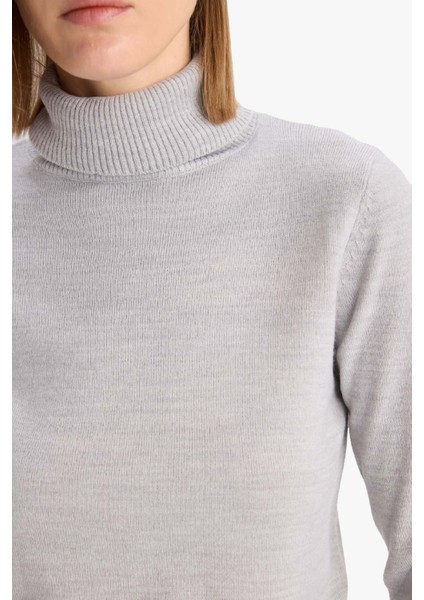 Regular Fit Balıkçı Yaka Kazak H1651AZ25WN indirimleri