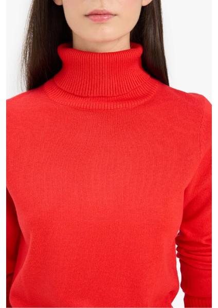 Regular Fit Yumuşak Dokulu Balıkçı Yaka Basic Düz Triko Kazak H1651AZ25WN indirimleri