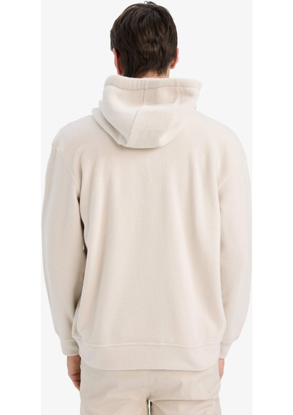 Boxy Fit Kapüşonlu Fermuarlı Polar Sweatshirt F0074AX25AU indirimleri