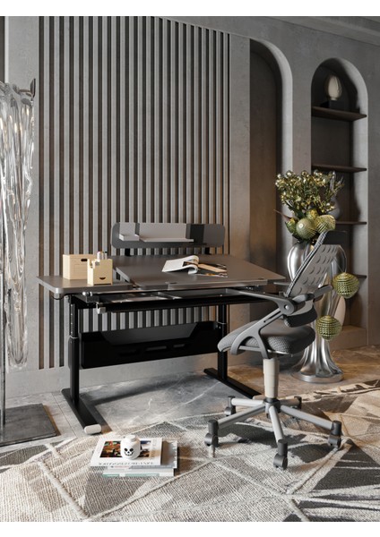 Profesyonel Ev Ofis Çalışma Masası, Yükseklik Ayarlı Masa + Sandalye - Antrasit/Gri - Vega Advanced