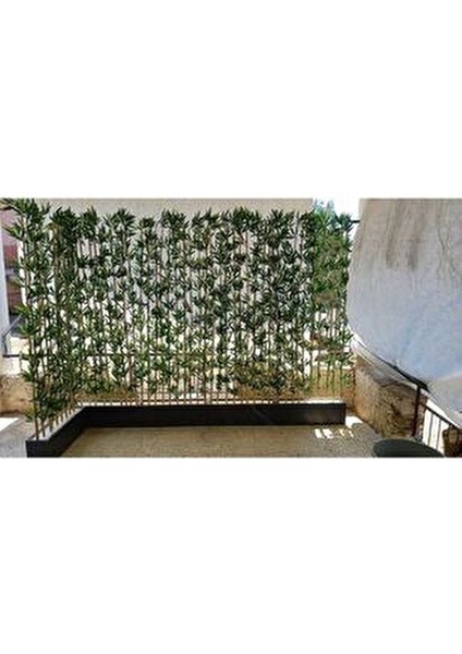 Bambu Speratör 4 Adet 100 cm Doğal Malzeme ile Minimalist Tasarım fiyatları