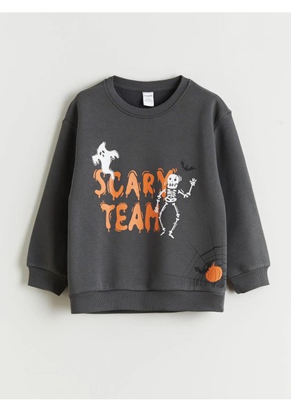 Bisiklet Yaka Erkek Çocuk Sweatshirt (W5)