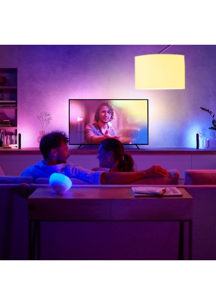 Lightstrip Gradient Tv 75"ınç Akıllı Renkli LED Şerit Aydınlatma fiyatları