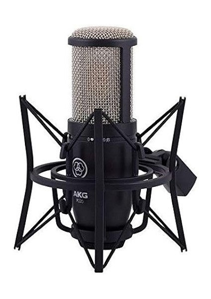 P220 Condenser Mikrofon fırsatları