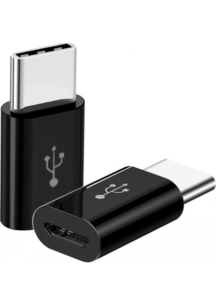 ZR393 Micro Type-C Çevirici