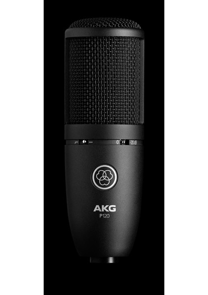 P120 Genel Amaçlı Stüdyo Kayıt Mikrofonu fiyatları