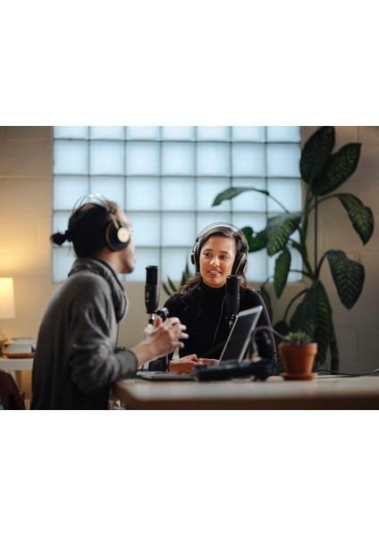 P120 Genel Amaçlı Stüdyo Kayıt Mikrofonu indirimleri