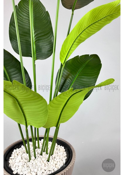 Yapay Muz Ağacı 160 cm Luna Saksı indirimleri