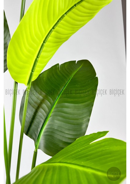 Yapay Muz Ağacı 160 cm Luna Saksı