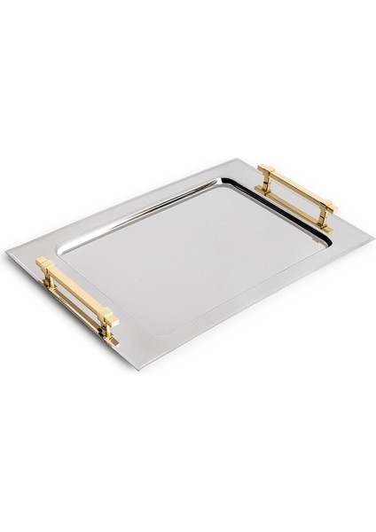 Castor Gold Çelik Tepsi PA6010