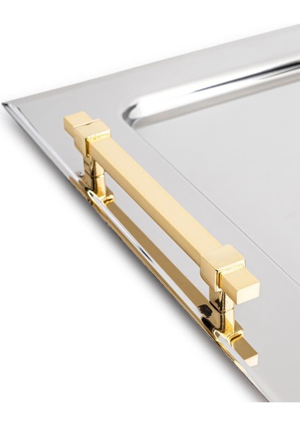 Castor Gold Çelik Tepsi PA6010 fiyatları