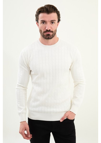 Desenli Slim Fit Bisiklet Yaka Erkek Triko Kazak