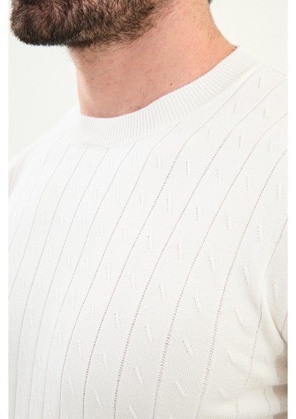 Desenli Slim Fit Bisiklet Yaka Erkek Triko Kazak fiyatları