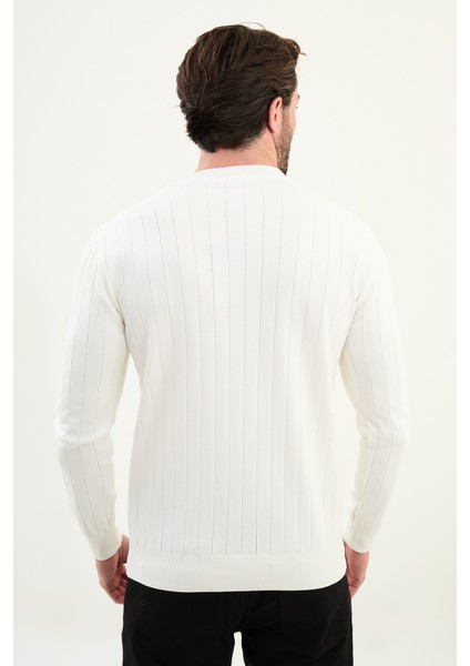 Desenli Slim Fit Bisiklet Yaka Erkek Triko Kazak modelleri