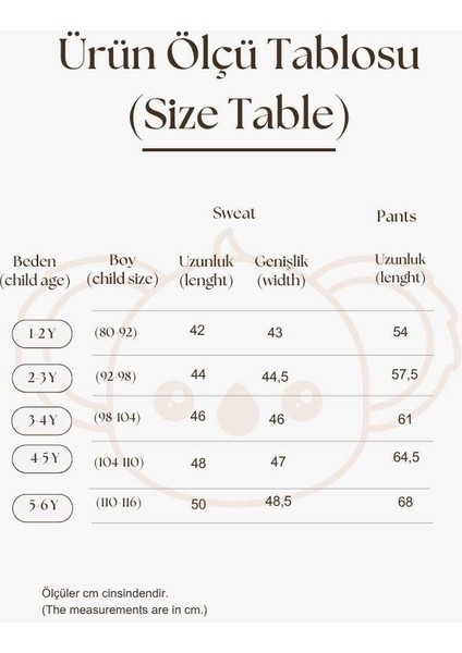 Taş Rengi Dağ Nakışlı Çocuk Alt Üst Takım modelleri