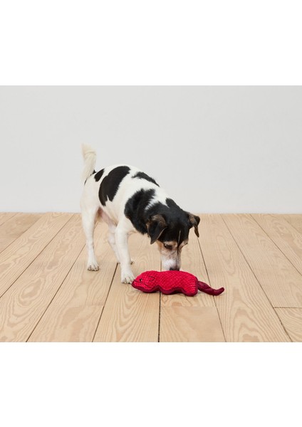 Pelüş Köpek Oyuncağı, Tilki modelleri