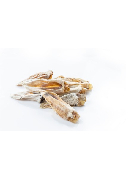 s Kuzu Kulağı Köpek Ödülü modelleri