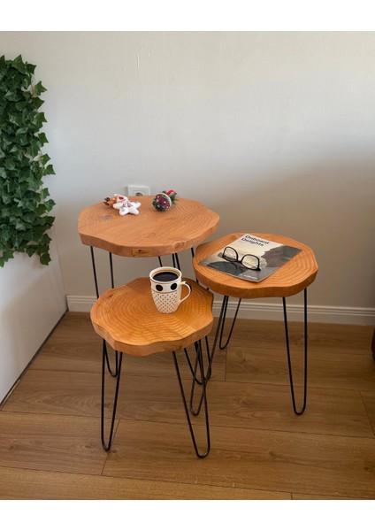 Sehpa Orta Sehpa Bushop Sehpa Modelleri 3lü Set Boho Trio Serisi fiyatları