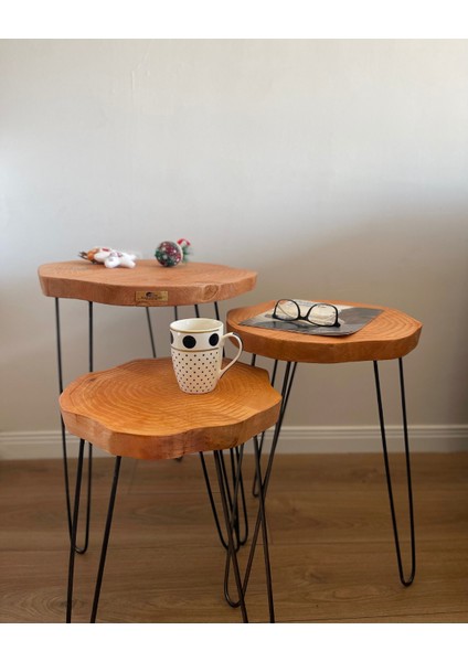 Sehpa Orta Sehpa Bushop Sehpa Modelleri 3lü Set Boho Trio Serisi modelleri