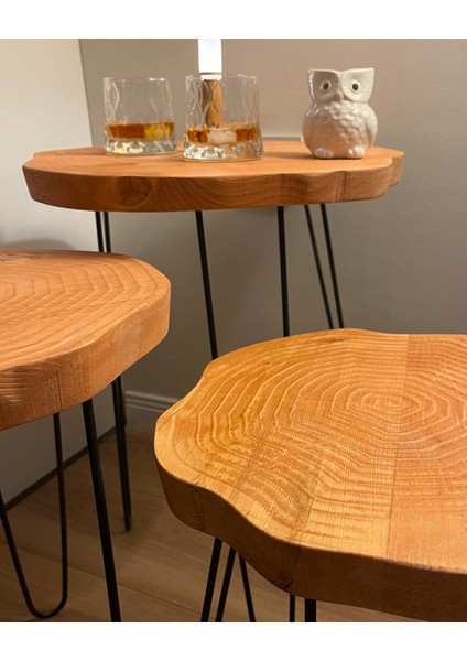 Sehpa Orta Sehpa Bushop Sehpa Modelleri 3lü Set Boho Trio Serisi indirimleri