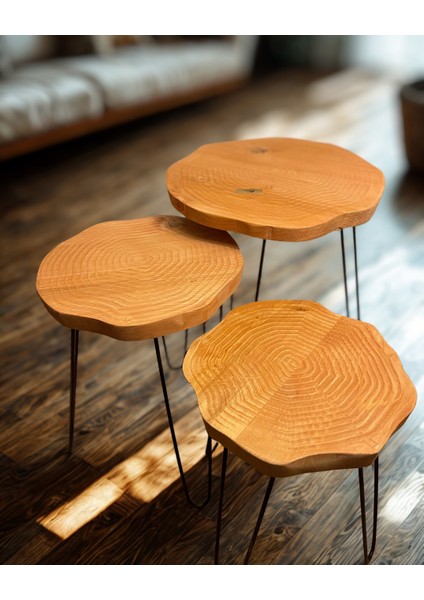 Sehpa Orta Sehpa Bushop Sehpa Modelleri 3lü Set Boho Trio Serisi