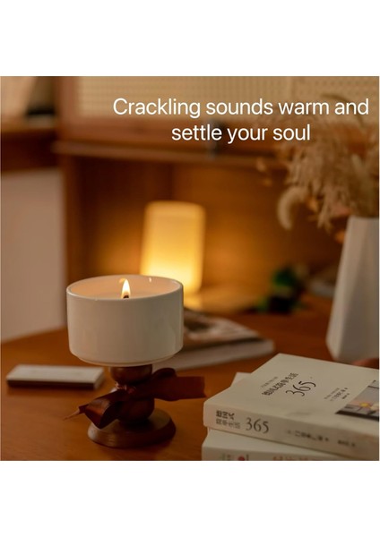 40 Takım Ahşap Mum Fitili ve Standı 5,1 x 0,5 Inç Doğal Mum (Yurt Dışından) fırsatları