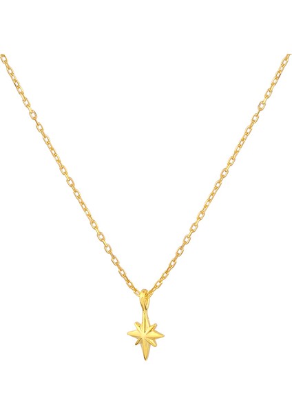 True North Gümüş Kolye