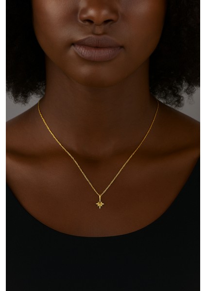 True North Gümüş Kolye fiyatları