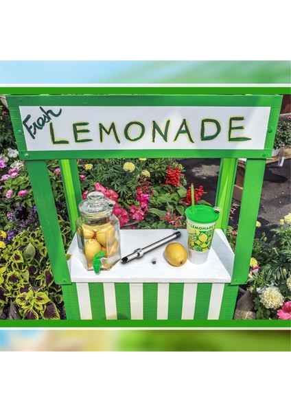 Plastik Kapaklı Limonata Bardakları Için Fırçalı 2'li Pipet Delgeç (Yurt Dışından) indirimleri