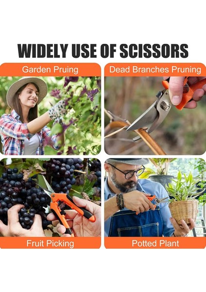 Parça Bahçe Aletleri Makas Bahçe Makası Seti (Yurt Dışından) fiyatları