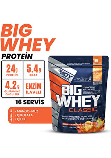 Sports Doypack Bigwhey Çilek Aromalı Whey Protein 488 g 16 Servis Yüksek Protein İçeriği modelleri