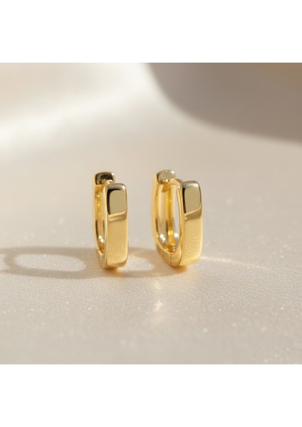 Corner Gold Küpe fiyatları