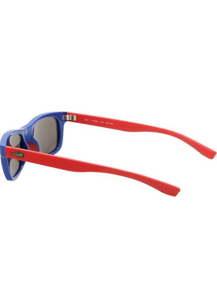 L3617S C.424 48-17 Güneş Gözlüğü fiyatları