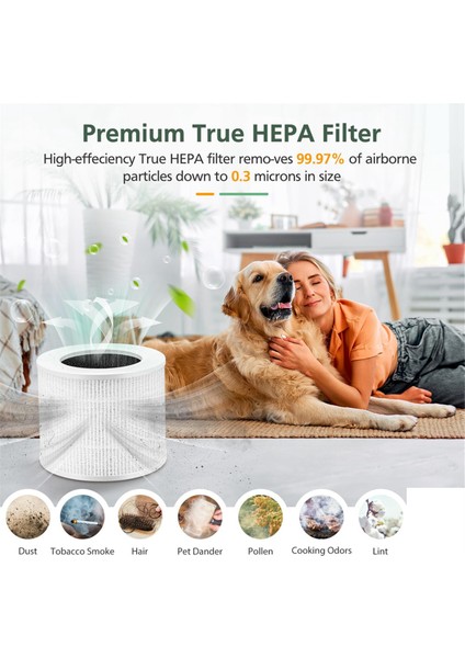 Levoıt Core Mini Hava Temizleyici ile Uyumlu 3'lü Paket Core Mini Yedek Filtre, 3'ü 1 Arada H13 True Hepa Hava Filtresi (Yurt Dışından) fırsatları