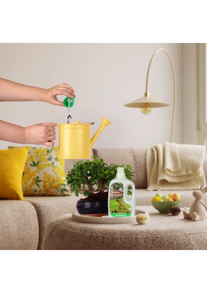 Bonsailer İçin Sıvı Besin 500 Cc modelleri