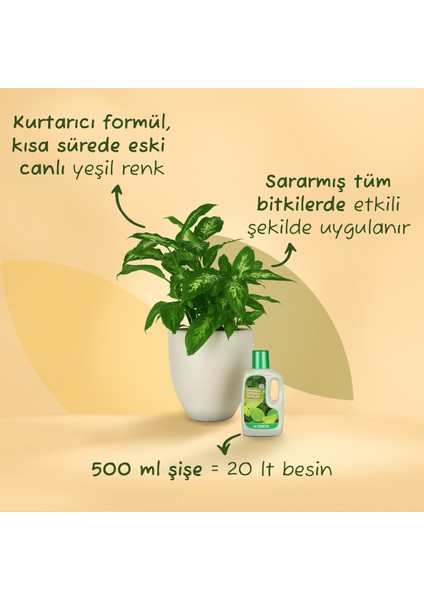 Sararan Yapraklar İçin Sıvı Besin 500 Cc
