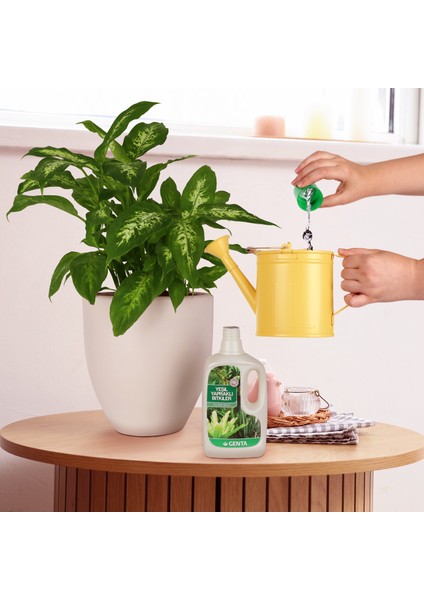 Yeşil Yapraklı Bitkiler İçin Sıvı Besin 500 Cc fiyatları