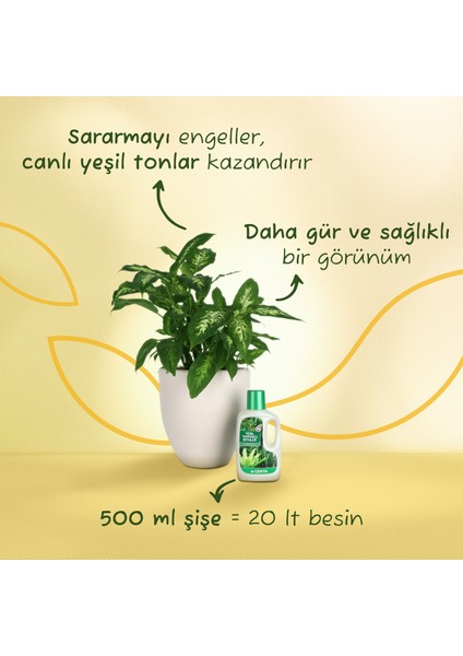 Yeşil Yapraklı Bitkiler İçin Sıvı Besin 500 Cc modelleri
