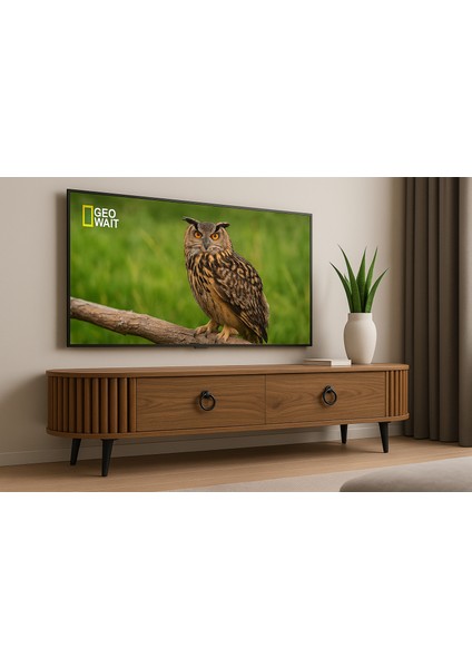 Linea 150 Lik Ovalli Çıtalı 2 Kapaklı Tv Ünitesi – Ceviz Detaylı, 150 Cm, Duvara Monte Edilebilir fiyatları