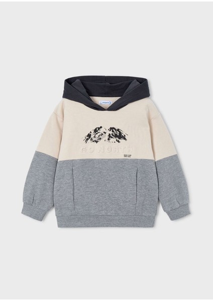 Erkek Çocuk 2 Altlı Kapüşonlu 3 Lü Eşofman Takımı 4804 Gri fiyatları